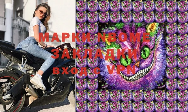 шишки Абаза