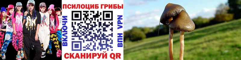 как найти закладки  Остров  KRAKEN рабочий сайт  Галлюциногенные грибы Psilocybe 